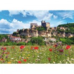 Puzzle   Dordogne, France