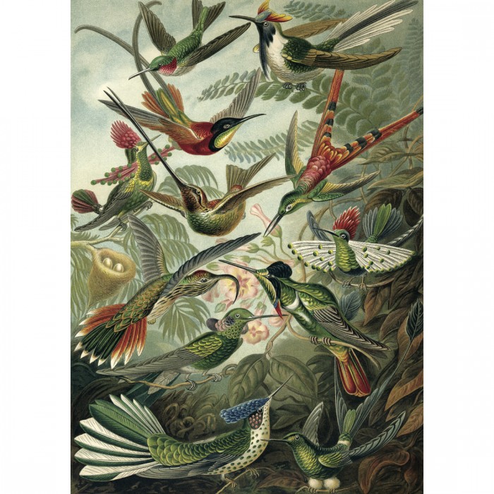 Puzzle Kiub-78900 Oiseaux