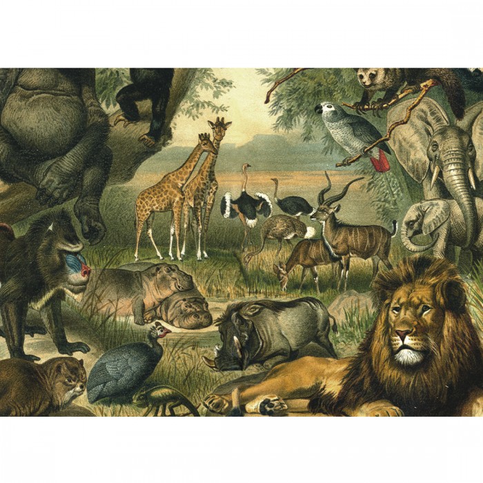 Puzzle  Kiub-80301 Animaux Savane