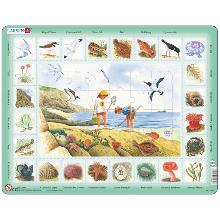  Larsen-NA2-GB Puzzle Cadre - Apprendre l'Anglais : Au Bord de Mer (en Anglais)