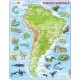 Puzzle Cadre - Amérique du Sud (en Russe)