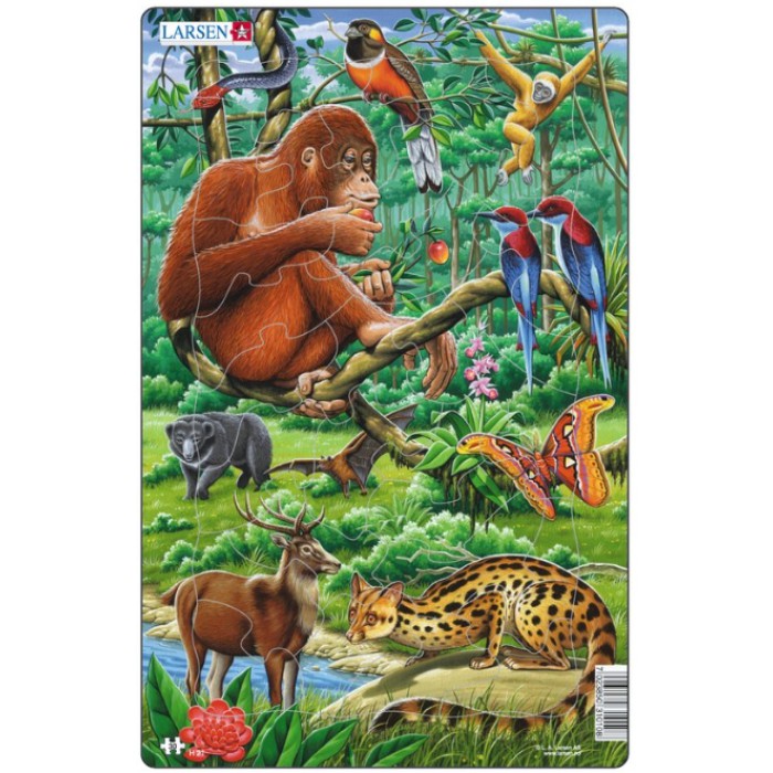   Puzzle Cadre - Animaux de la Jungle