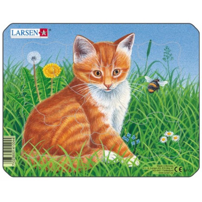   Puzzle Cadre - Chaton