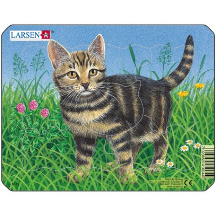   Puzzle Cadre - Chaton