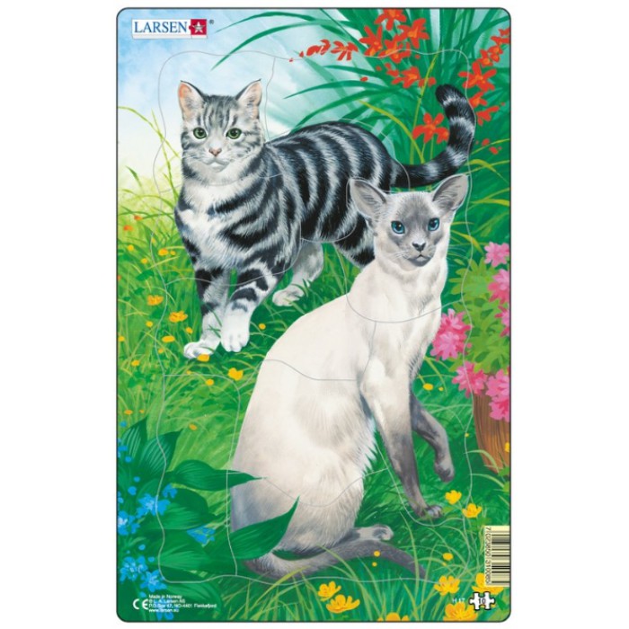   Puzzle Cadre - Chats