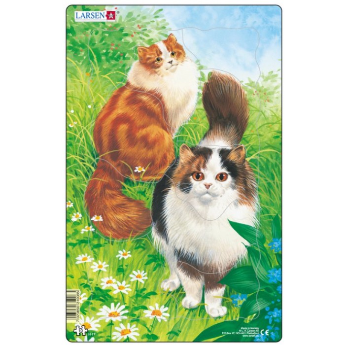   Puzzle Cadre - Chats