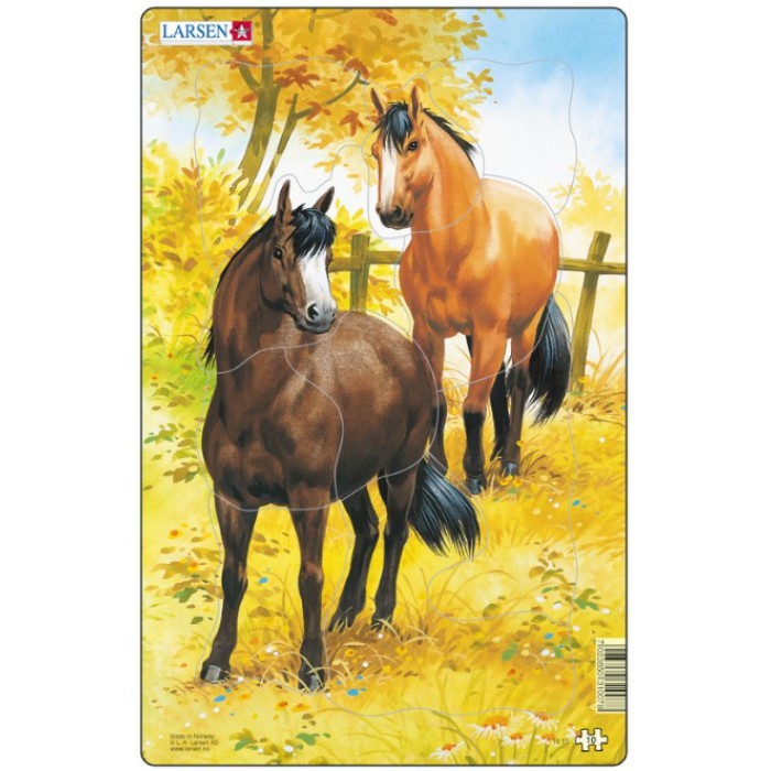   Puzzle Cadre - Chevaux