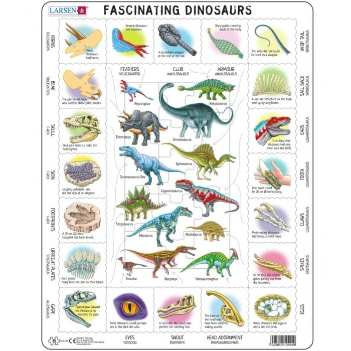   Puzzle Cadre - Dinosaures (en anglais)