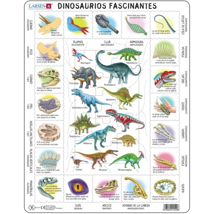   Puzzle Cadre - Dinosaures (en Espagnol)