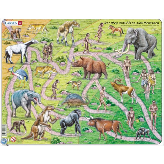   Puzzle Cadre - Evolution du Singe à l'Homme (en Allemand)