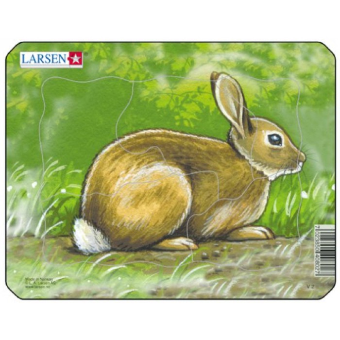   Puzzle Cadre - Lapin