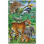   Puzzle Cadre - Le Tigre et les Animaux de la Jungle
