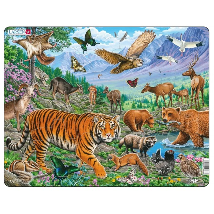   Puzzle Cadre - Tigre