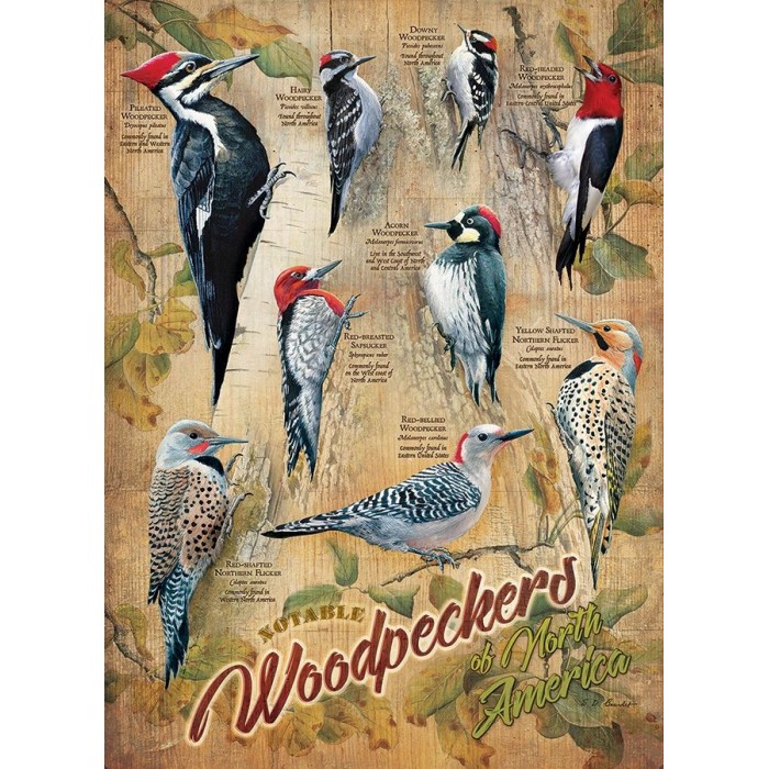 Cobble Hill / Outset Media Pièces XXL - Notable Woodpeckers