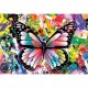 Colorful Butterfly