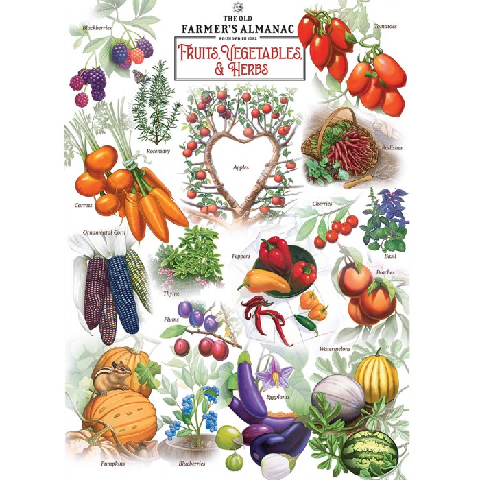 Puzzle Master-Pieces-72196 Fruits et Légumes