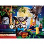 Puzzle   Pièces XXL - Night Owl Study Group