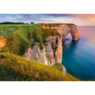 Puzzle Nathan-00901 Des Racines et des Ailes - Vue sur les Falaises d'Etretat