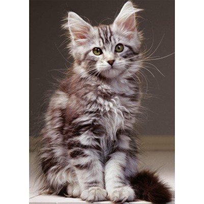 Puzzle Nathan-00923 Le Chaton