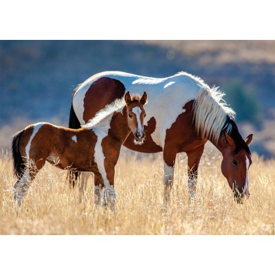 Puzzle Nathan-00928 Jument et Son Poulain
