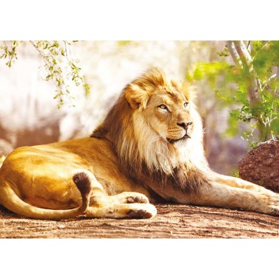 Puzzle Nathan-00951 Le Roi de la Savane
