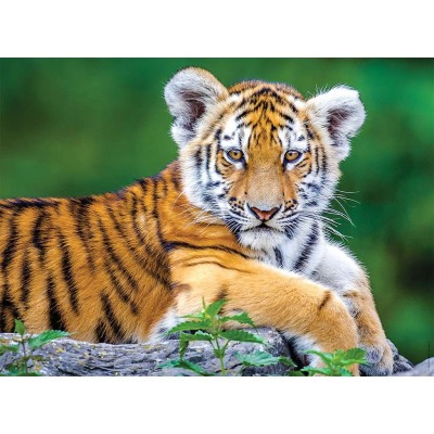 Puzzle Nathan-86154 Pièces XXL - Bébé Tigre