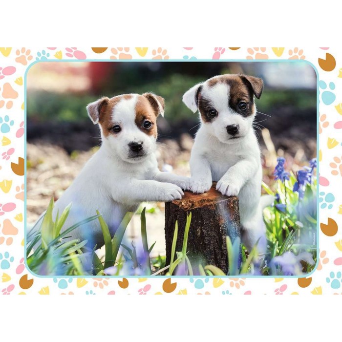 Les Petits Jack Russell