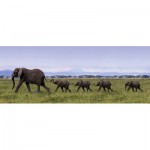 Puzzle   Art Wolfe : Famille d'éléphants