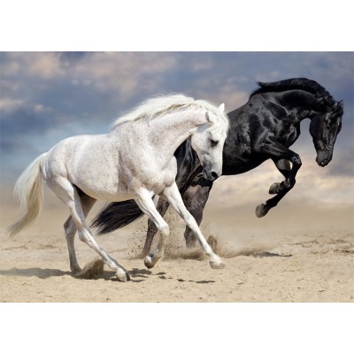 Puzzle Nathan-87791 Galop Sauvage