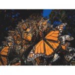Puzzle   Pièces XXL - Monarch Butterflies