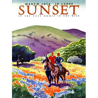 Puzzle New-York-Puzzle-SU2006 Pièces XXL - Sunset - Horses in The Hills