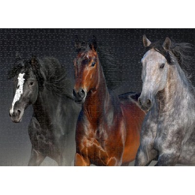 Puzzle Nova-Puzzle-41045 Trois Coeurs Nobles