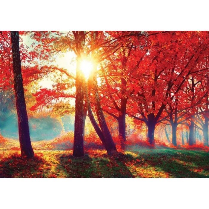 Puzzle  Nova-Puzzle-41131 Automne Rouge