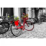 Puzzle   La Bicyclette Rouge