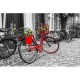 La Bicyclette Rouge