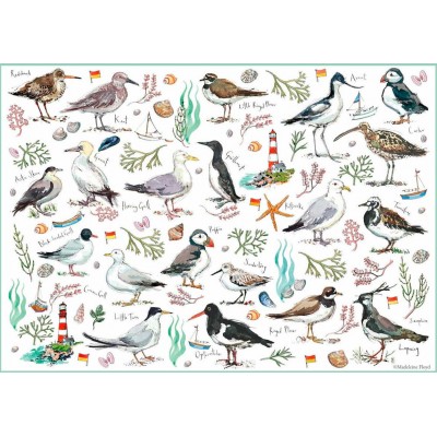 Puzzle Otter-House-Puzzle-75510 Seabirds