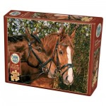 Puzzle  Cobble-Hill-48017 Pièces XXL - Friends Forever