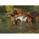 Puzzle  Cobble-Hill-85051 Pièces XXL - Horse Pond