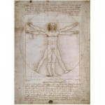 Puzzle   Léonard de Vinci : L'Homme de Vitruve