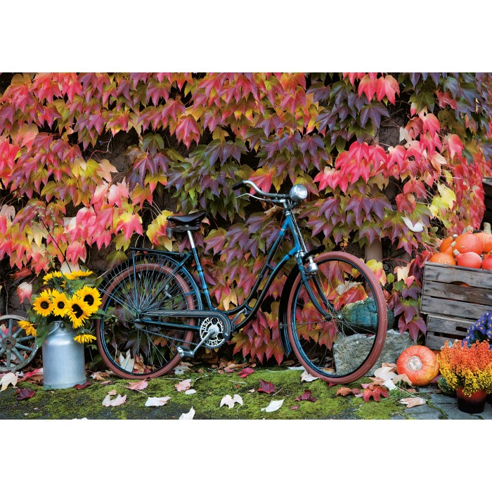 Puzzle  Piatnik-5582 Automne