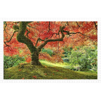 Puzzle Pintoo-H2296 Japanese Garden in Portland