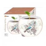   Puzzle 3D - Flower Pot - Singing Birds and Flowers