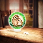   Puzzle 3D - Sphere Light - Hiboux et Chatons