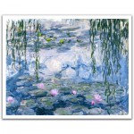   Puzzle en Plastique - Monet Claude : Waterlilies
