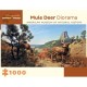 Mule Deer Diorama - American Museum of Natural History