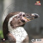 Puzzle   Pingouin