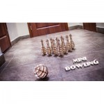   Puzzle 3D en Bois - Mini Bowling