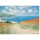 Claude Monet - Chemin dans les Blés, 1882