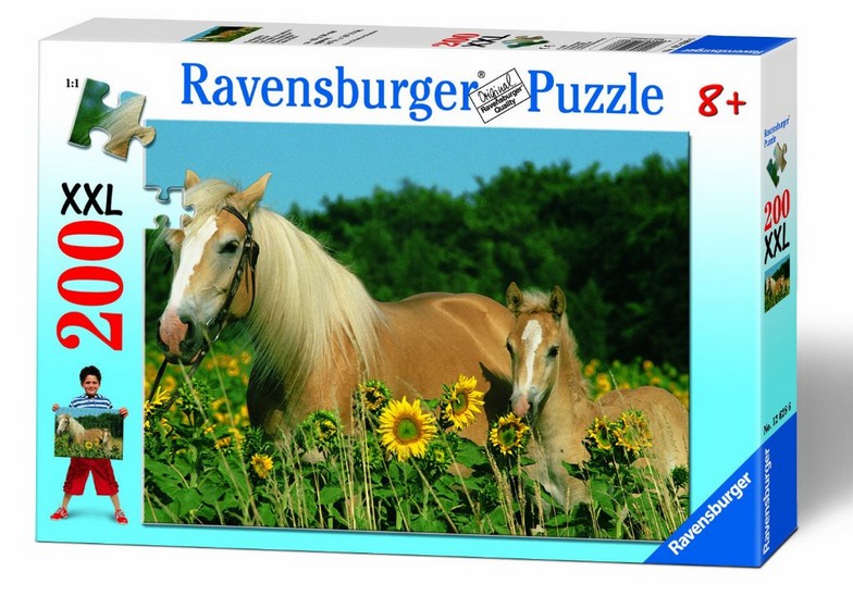 Ravensburger Puzzle 500 Pièces Oiseaux Dans La Prairie à Prix