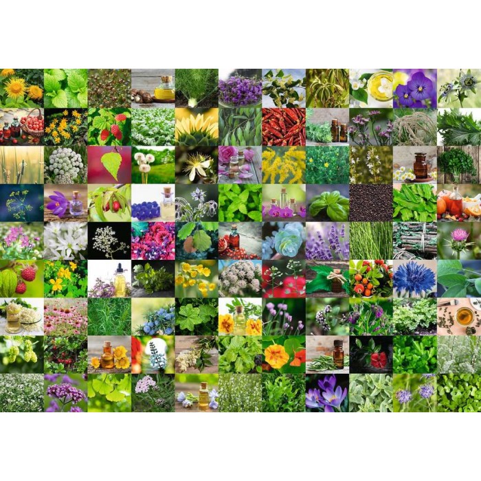 Puzzle  Ravensburger-00073 99 Herbes et Epices